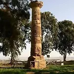 Leodori *