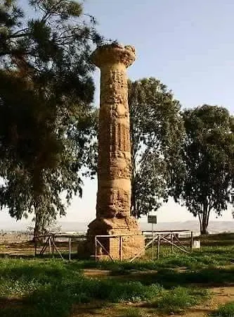 Leodori *